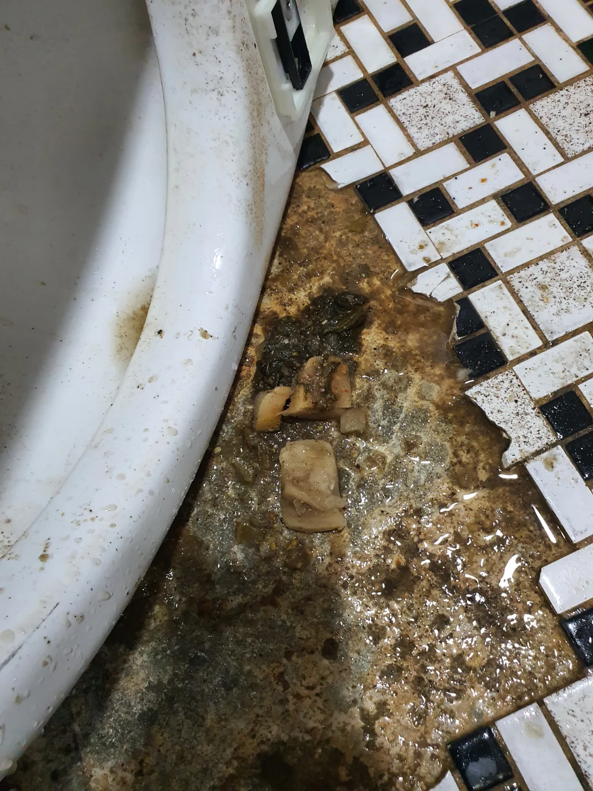 변기를 탈거한 뒤 내부에서 꺼낸 깍두기와 김치 등 음식물 이물질입니다. 변기 트랩과 배출구에 걸려 배수 흐름을 방해하고 있던 원인을 제거했습니다.